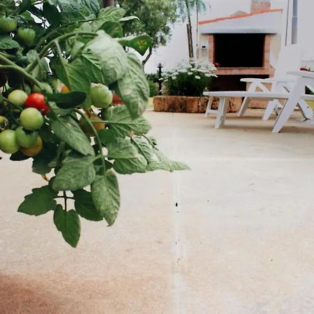 Con Lamione Antico Torre San Giovanni Ugento